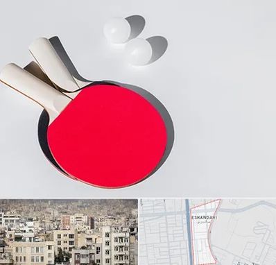باشگاه پینگ پنگ در اسکندری