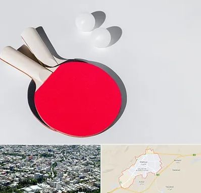 باشگاه پینگ پنگ در شاهرود