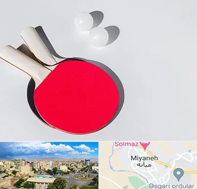 باشگاه پینگ پنگ در میانه