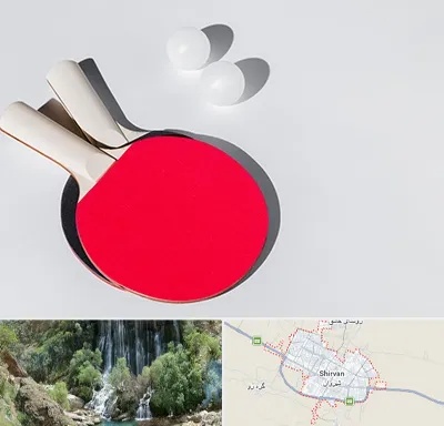 باشگاه پینگ پنگ در شیروان