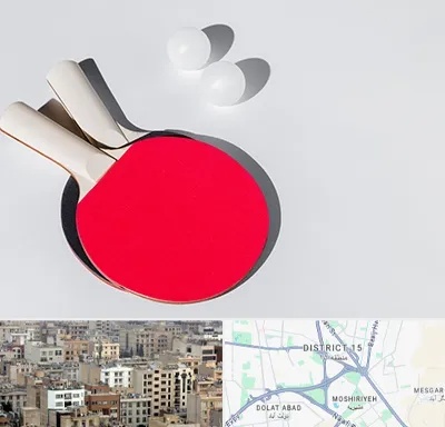 باشگاه پینگ پنگ در جنوب شرق تهران