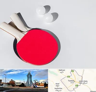 باشگاه پینگ پنگ در تایباد
