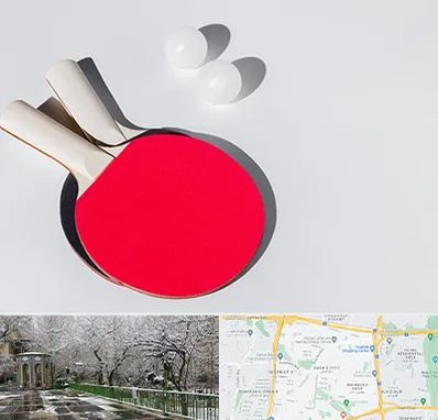 باشگاه پینگ پنگ در باغ فیض