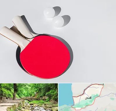 باشگاه پینگ پنگ در گلستان