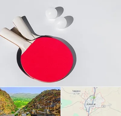 باشگاه پینگ پنگ در کامیاران
