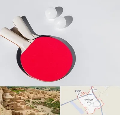 باشگاه پینگ پنگ در امیدیه