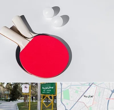 باشگاه پینگ پنگ در تهران ویلا