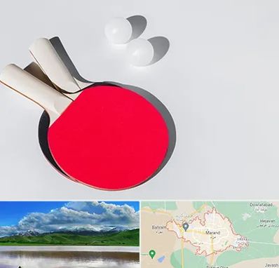 باشگاه پینگ پنگ در مرند