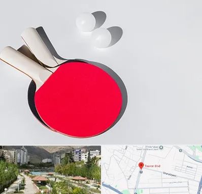 باشگاه پینگ پنگ در بلوار تعاون