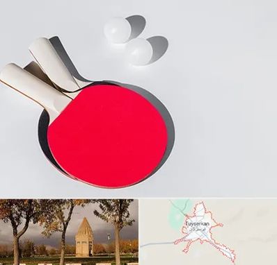 باشگاه پینگ پنگ در تویسرکان