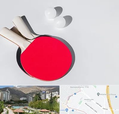 باشگاه پینگ پنگ در شهر زیبا 