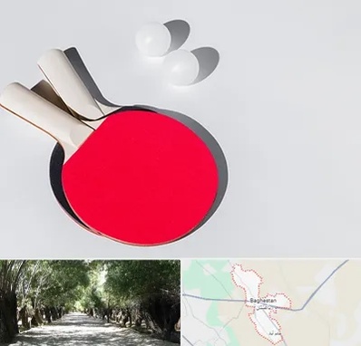 باشگاه پینگ پنگ در باغستان