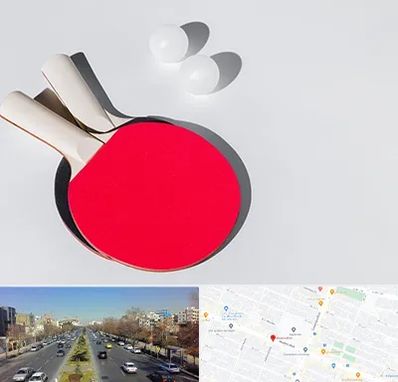 باشگاه پینگ پنگ در بلوار معلم مشهد 