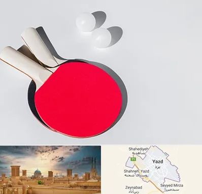 باشگاه پینگ پنگ در یزد