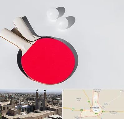 باشگاه پینگ پنگ در سبزوار