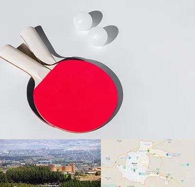 باشگاه پینگ پنگ در بیرجند