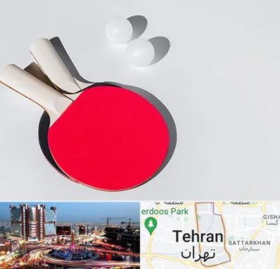 باشگاه پینگ پنگ در صادقیه 