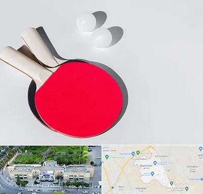 باشگاه پینگ پنگ در نسیم شهر