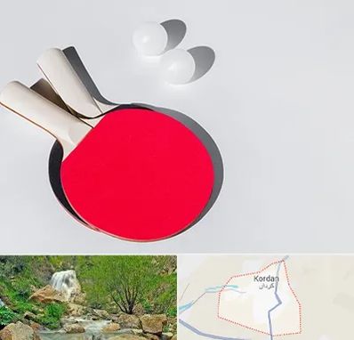 باشگاه پینگ پنگ در کردان