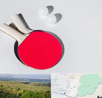 باشگاه پینگ پنگ در سوهانک