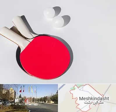 باشگاه پینگ پنگ در مشکین دشت