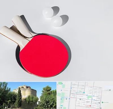 باشگاه پینگ پنگ در مرداویج اصفهان 