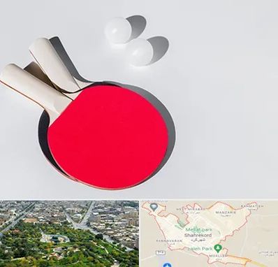 باشگاه پینگ پنگ در شهرکرد