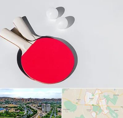 باشگاه پینگ پنگ در شهریار