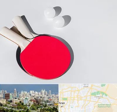 باشگاه پینگ پنگ در شرق تهران 