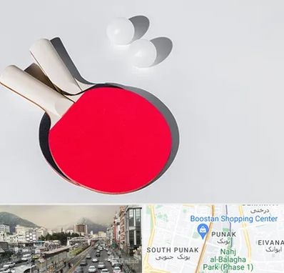 باشگاه پینگ پنگ در پونک 