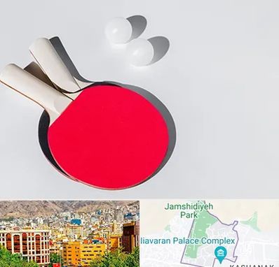 باشگاه پینگ پنگ در نیاوران 