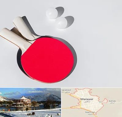 باشگاه پینگ پنگ در ملایر