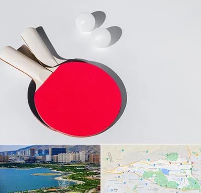 باشگاه پینگ پنگ در منطقه 22 تهران 