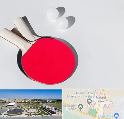 باشگاه پینگ پنگ در ملارد