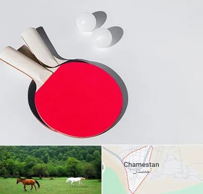 باشگاه پینگ پنگ در چمستان