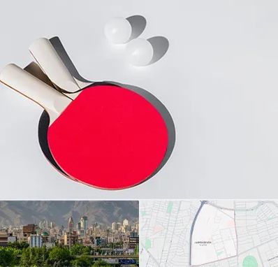باشگاه پینگ پنگ در جمشیدیه