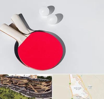 باشگاه پینگ پنگ در شاهین شهر