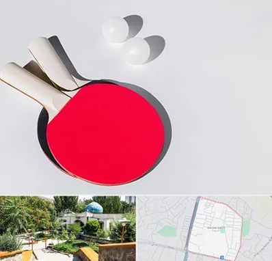 باشگاه پینگ پنگ در باغمیشه تبریز