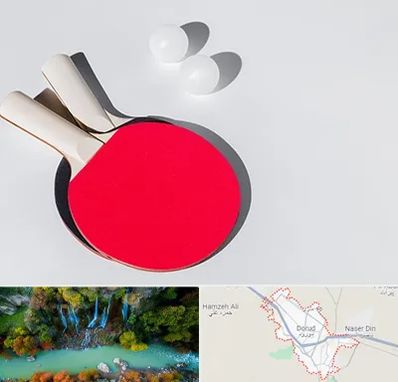 باشگاه پینگ پنگ در دورود