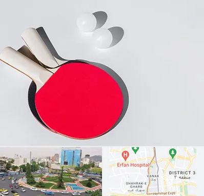 باشگاه پینگ پنگ در ونک 