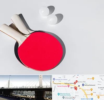 باشگاه پینگ پنگ در پارک وی 