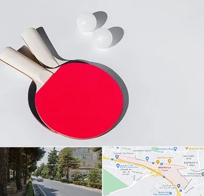 باشگاه پینگ پنگ در مهرویلا کرج 