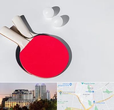 باشگاه پینگ پنگ در فرشته 