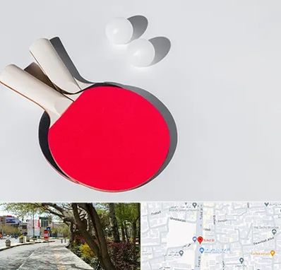 باشگاه پینگ پنگ در خیابان توحید اصفهان 