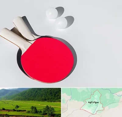 باشگاه پینگ پنگ در سوادکوه