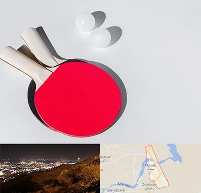 باشگاه پینگ پنگ در میناب