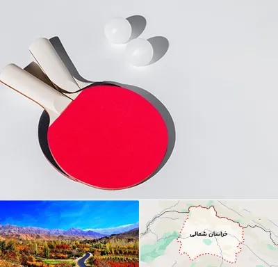 باشگاه پینگ پنگ در خراسان شمالی