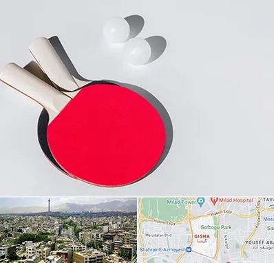 باشگاه پینگ پنگ در گیشا 