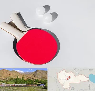 باشگاه پینگ پنگ در خاش