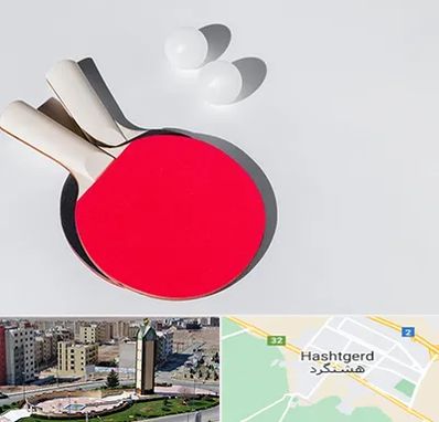 باشگاه پینگ پنگ در هشتگرد